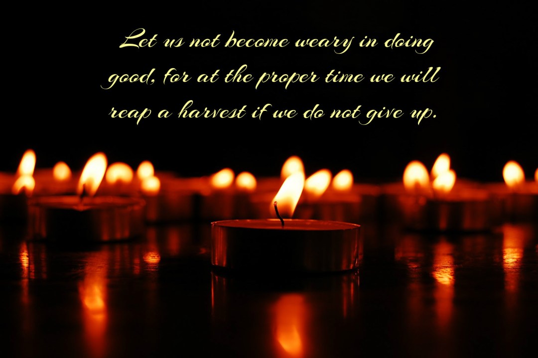 pizap-com14751636768461