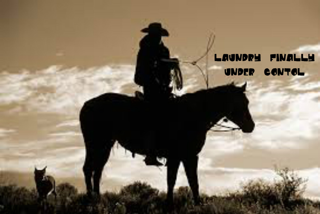 pizap-com14751742466531