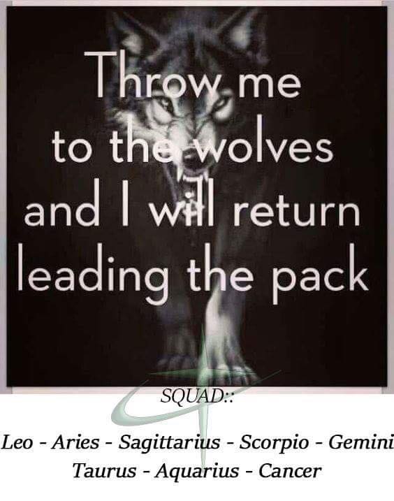 14449958_1808355049407804_1624665431474191209_n