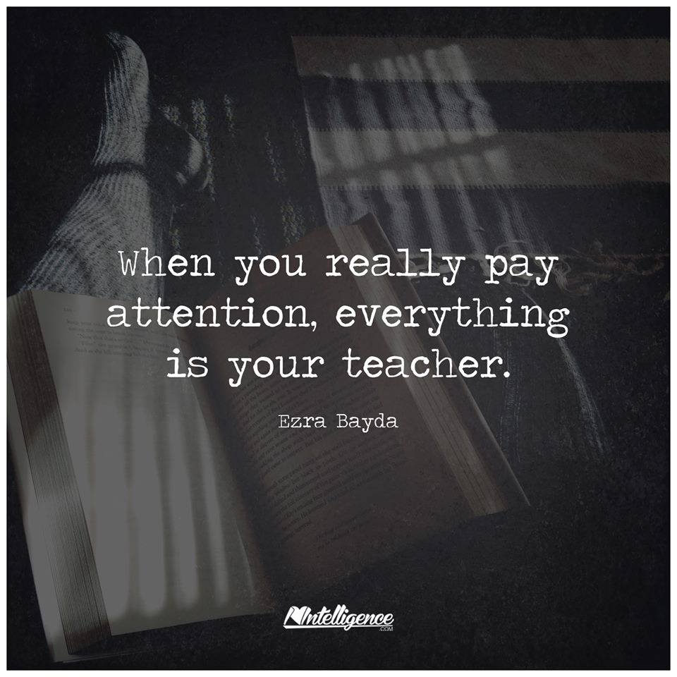 14484800_683149191840099_8707897018867054933_n