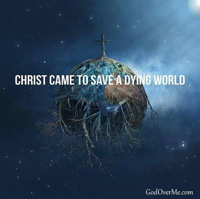 14642285_1151417148272287_3211016014330628312_n