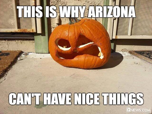 14695578_10154712360774015_3386624711815672590_n