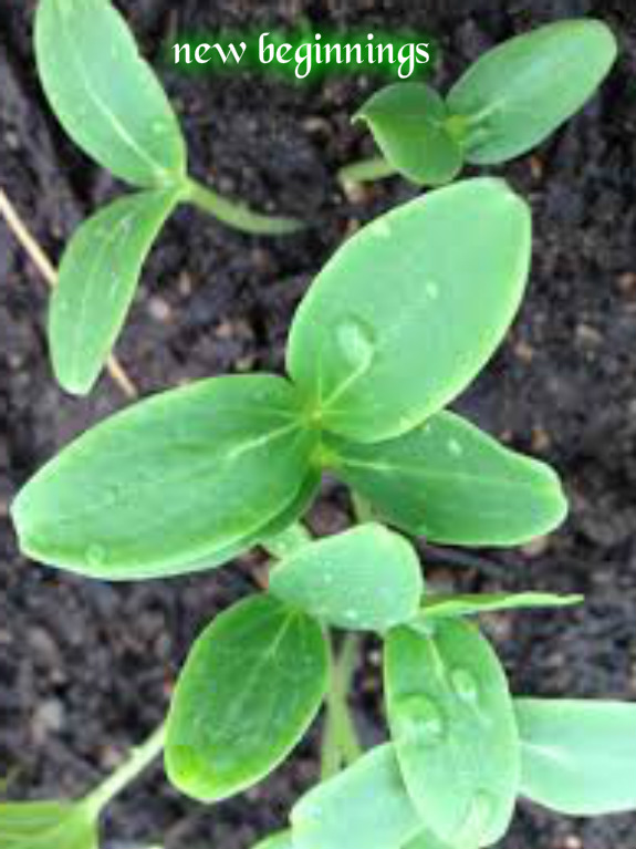 pizap-com14406967078211