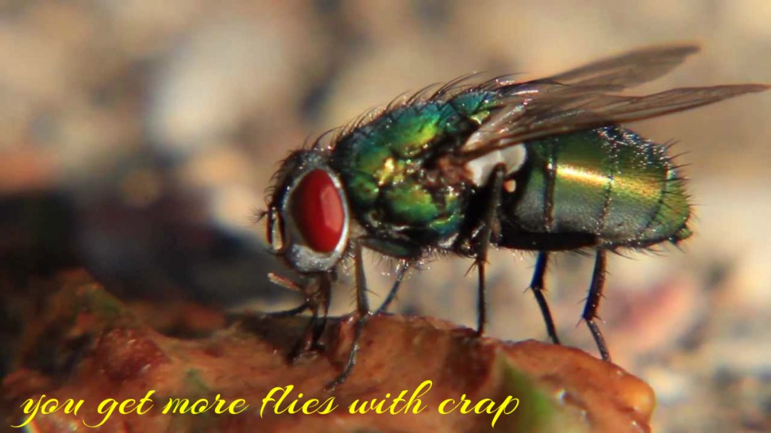 pizap-com14753376447581