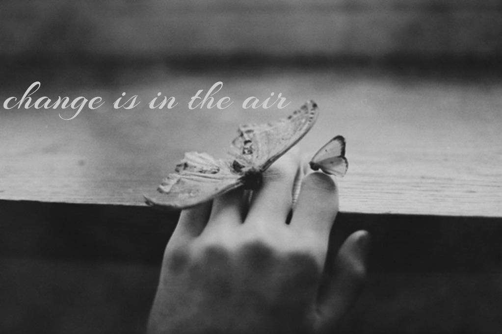 pizap-com14764654743911