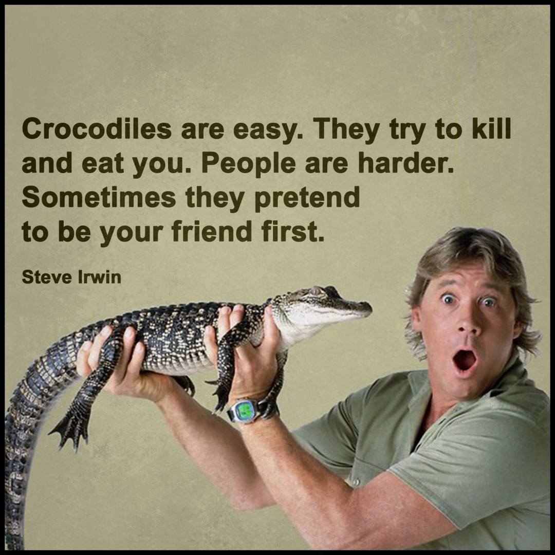 14990908_1353079548067894_2907917948788318927_o