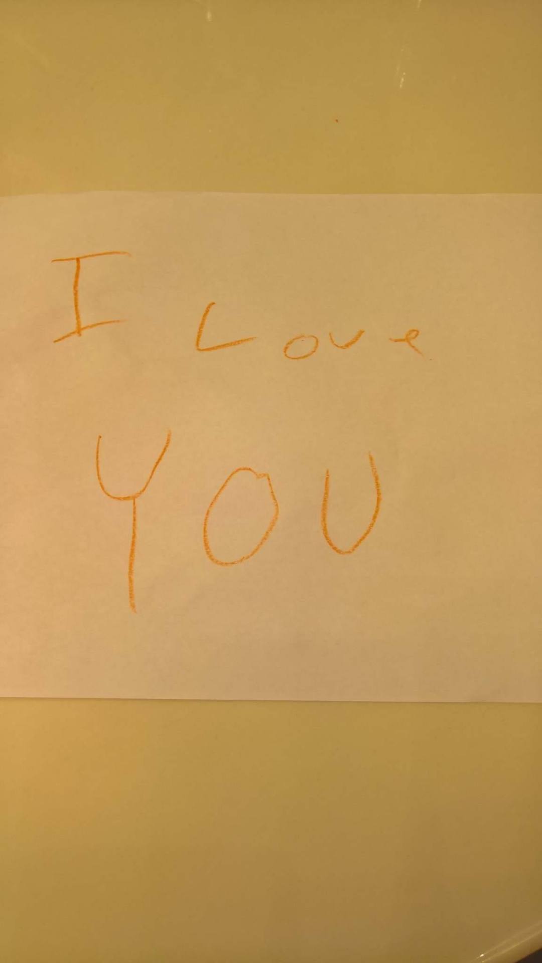 15101976_10210358079084692_1637928398_o