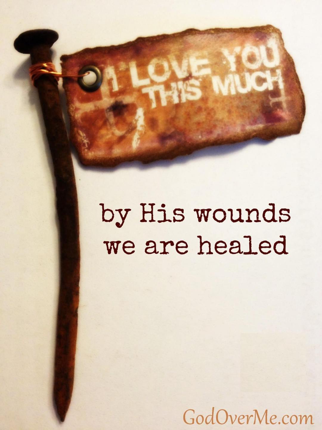 15369290_1356634177703011_2303168651846779754_o