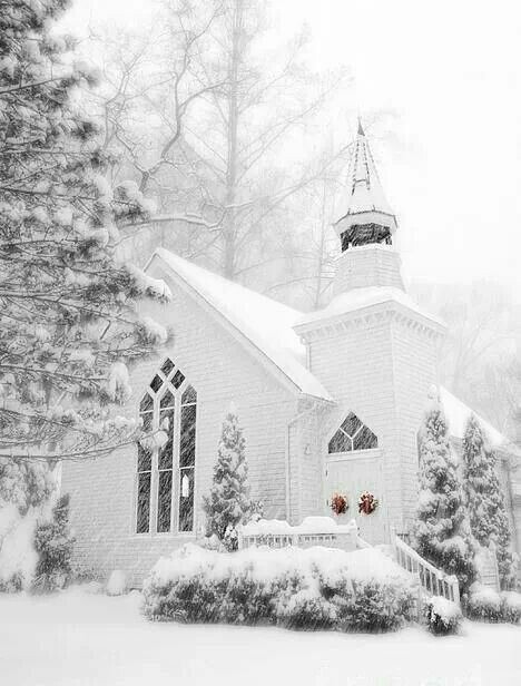 15400916_1345874422136150_7189446335791054317_n