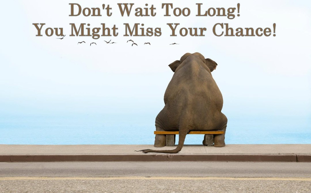 dont-wait-too-long-orlando-espinosa