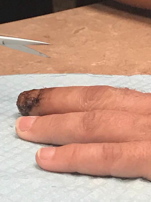 17191332_10211482790681779_3207548179633404790_n