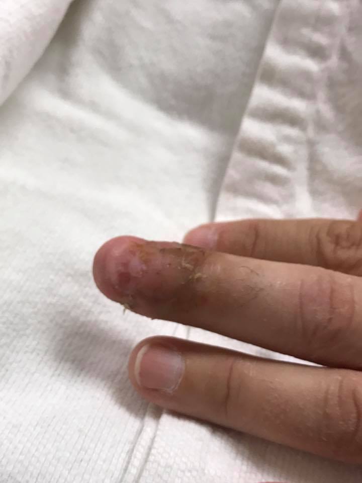 17554221_10208808976041594_2901115845644983270_n