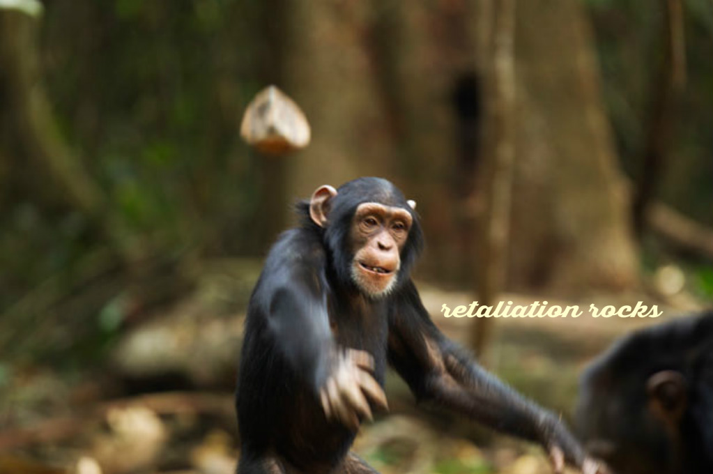 pizap.com14930936312421