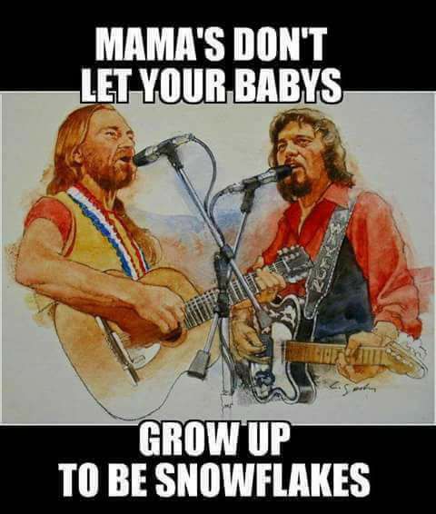 19113773_1900107953540993_7636548453837951140_n