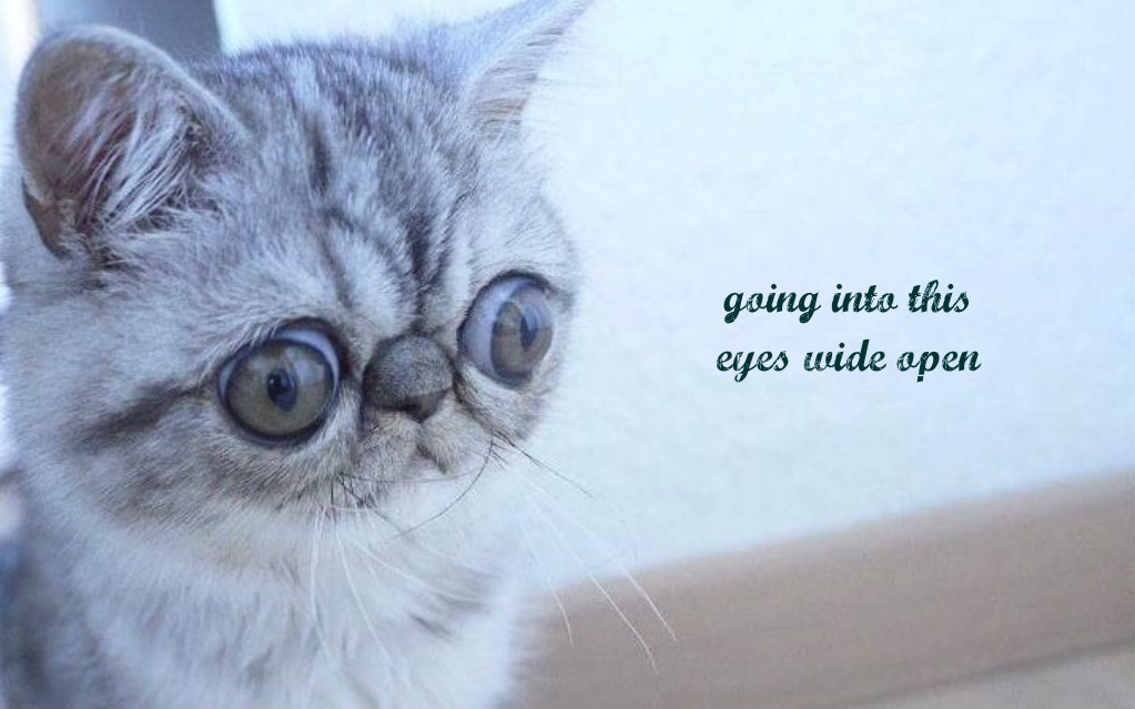 pizap.com14971101581621