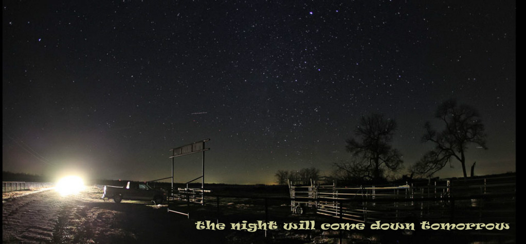 pizap.com14979193857531