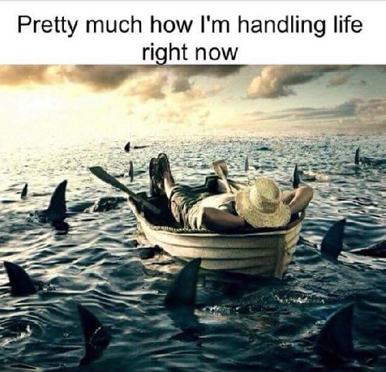 20139845_1244342302343155_4958429799134883718_n