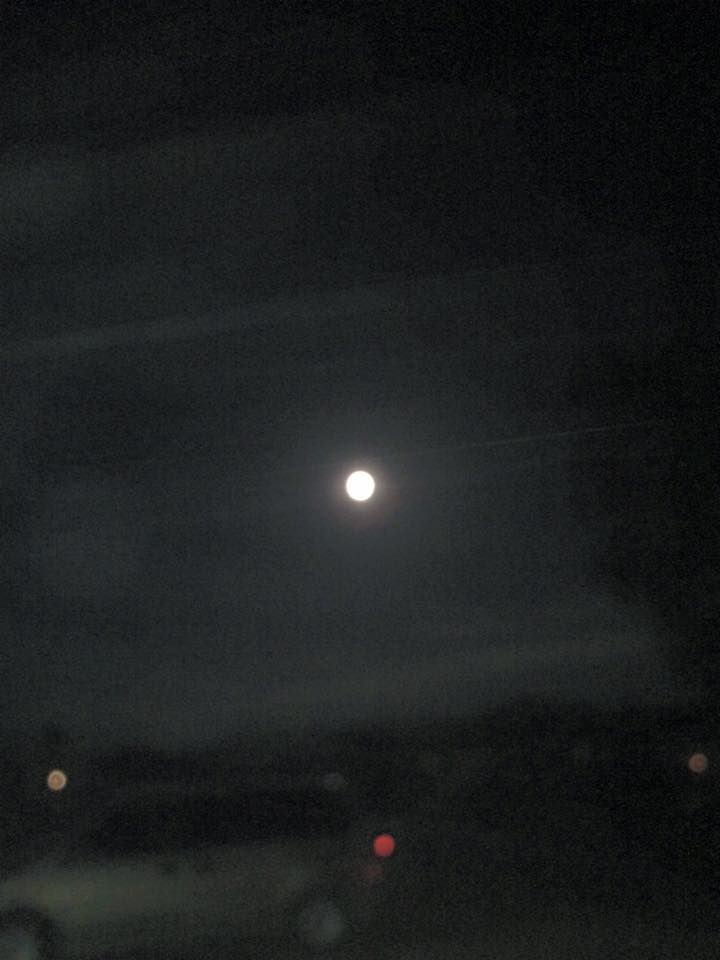 11891099_10204905692021933_7122326951977187654_n