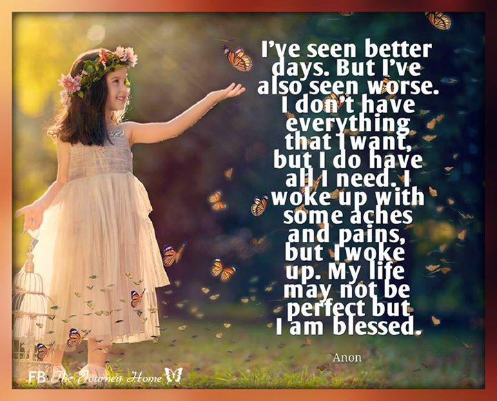 20638502_847952885368646_183579593666039007_n