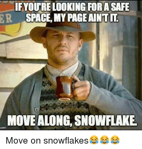 ifyoure-ing-fora-safe-space-mypageaintit-move-along-snowflake-move-21336206