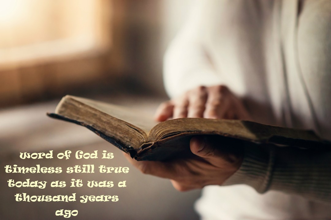 pizap.com15035485025321