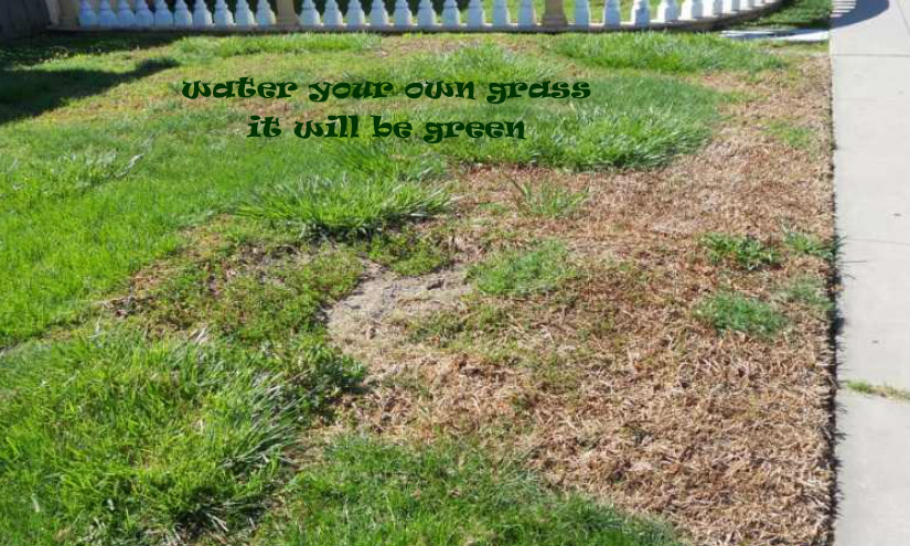 pizap.com15039773860482