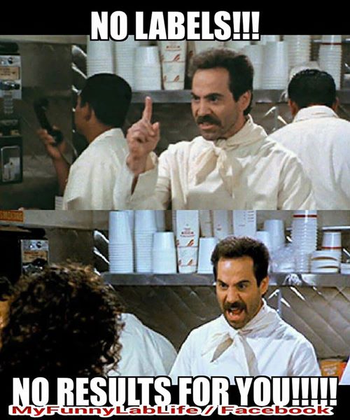 11039215_1576653259219199_5576554734173183854_n