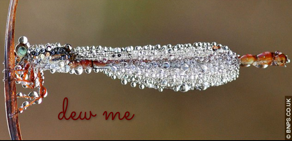 pizap.com14579696395521