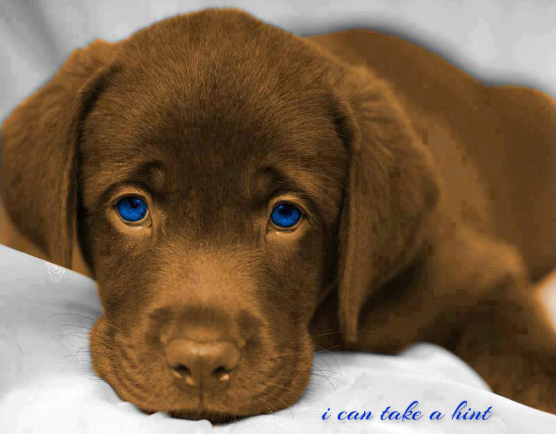 pizap.com14589527951661