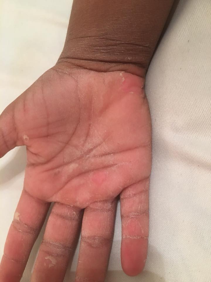 22308687_10213456390820549_5222460724256471782_n