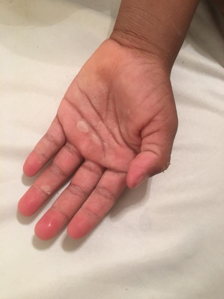 22308975_10213456391020554_4065593634934423661_n