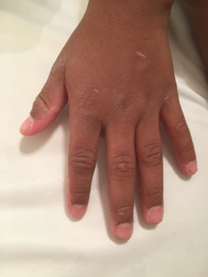 22310316_10213456391340562_5322005616978981813_n