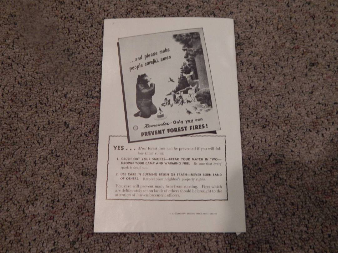 24799678_10215048096185849_6096135751514999926_o