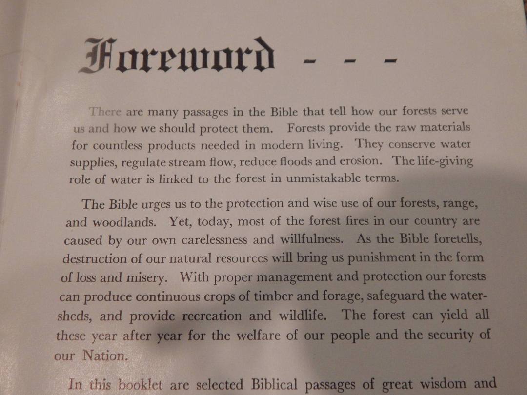 24831098_10215048095025820_2411472623713226024_o