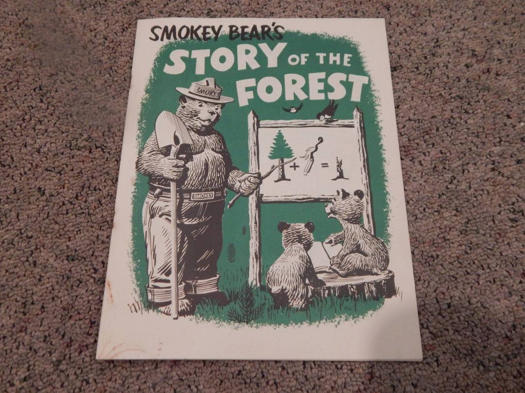 24879724_10215048094865816_7893805318715458169_o