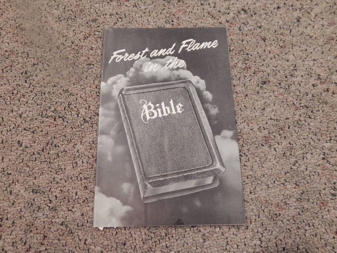 24883376_10215048094745813_3677267433369998925_o