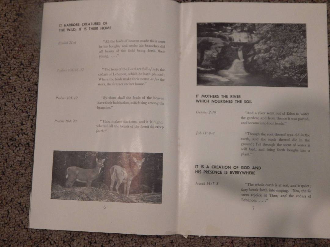 24883456_10215048095545833_8896817880379093165_o