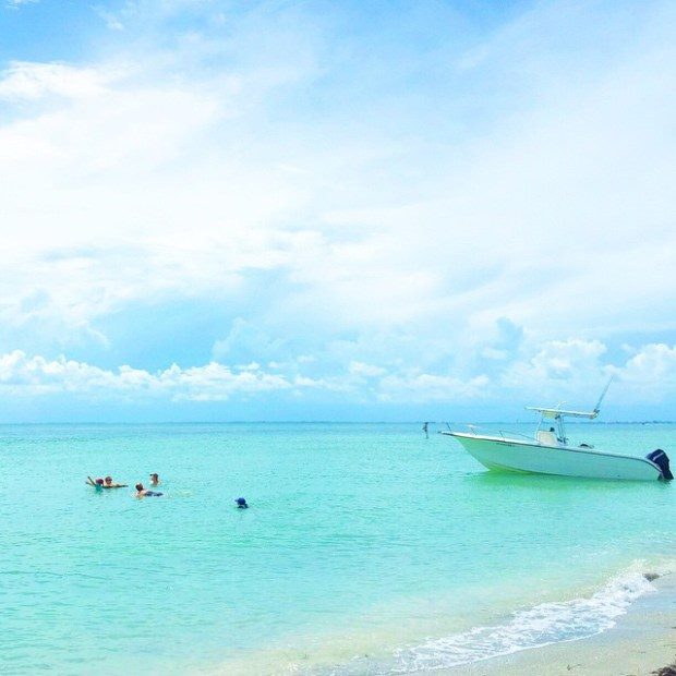 12438958_10156475635675370_2966698595427704520_n