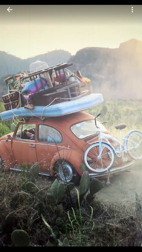 16114471_1597633963596687_6434170292311213935_n