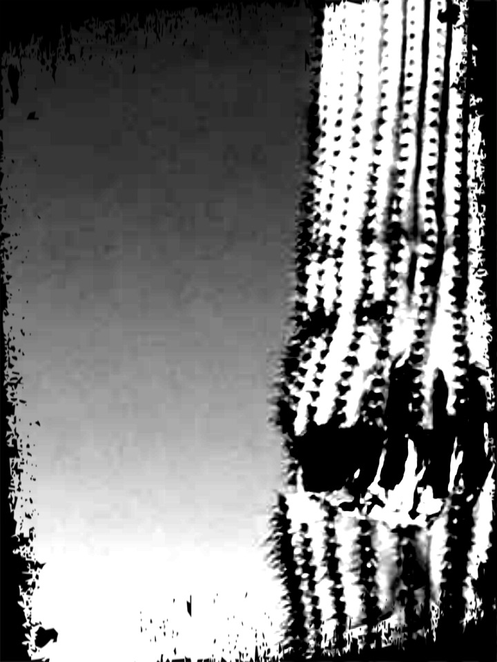 pizap.com15159888065461