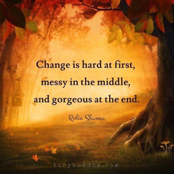 22815548_1785173581780643_8447925625900951142_n