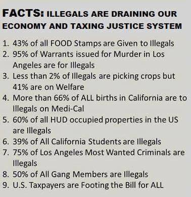 26804468_793235540878724_7132987149591836101_n