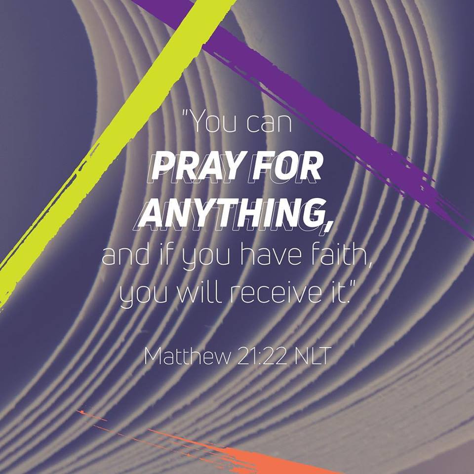 26804907_1808960345844766_5373404560383027401_n