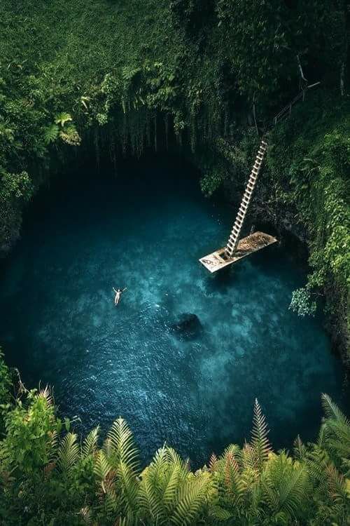 27073162_1818503235115527_6533099504963002584_n