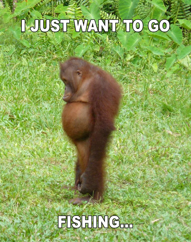 27972555_2203706876567722_3856002297725686816_n