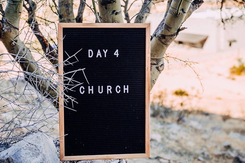 28056651_10156146620304704_980149679387943792_n