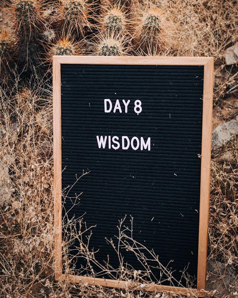 28166380_10156158112794704_983977763420235433_n