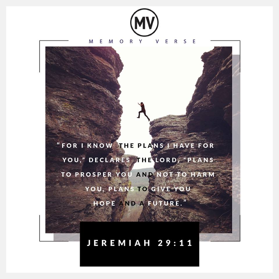 28166490_10156150583259704_6036124120435957742_n