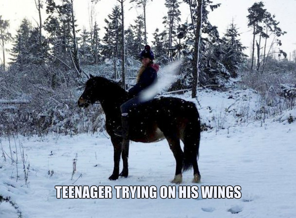 pizap.com15181473859471