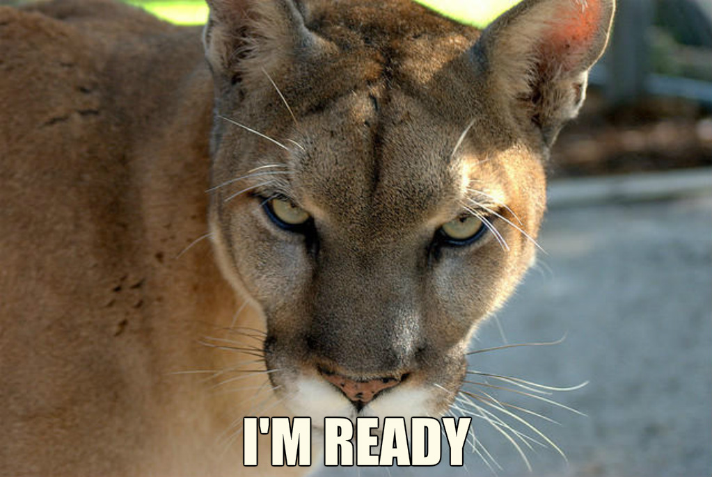 pizap.com15182026141551